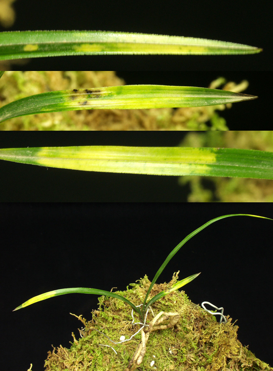 ������ ū������ �� �� �ֽ��ϴ�.