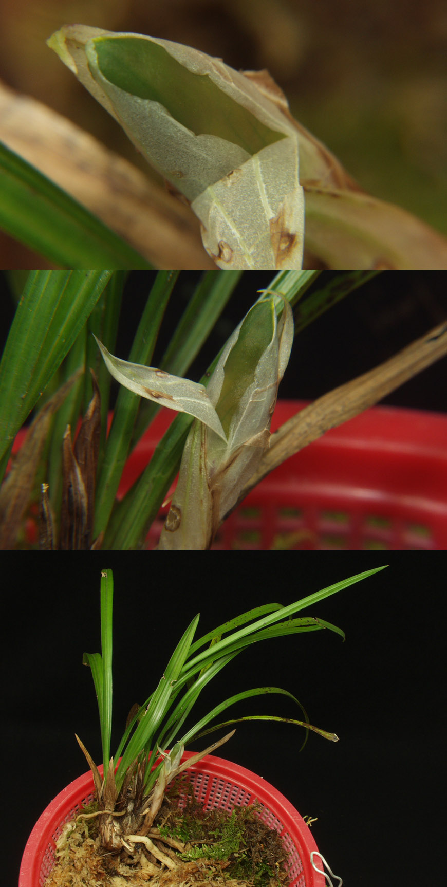 ������ ū������ �� �� �ֽ��ϴ�.