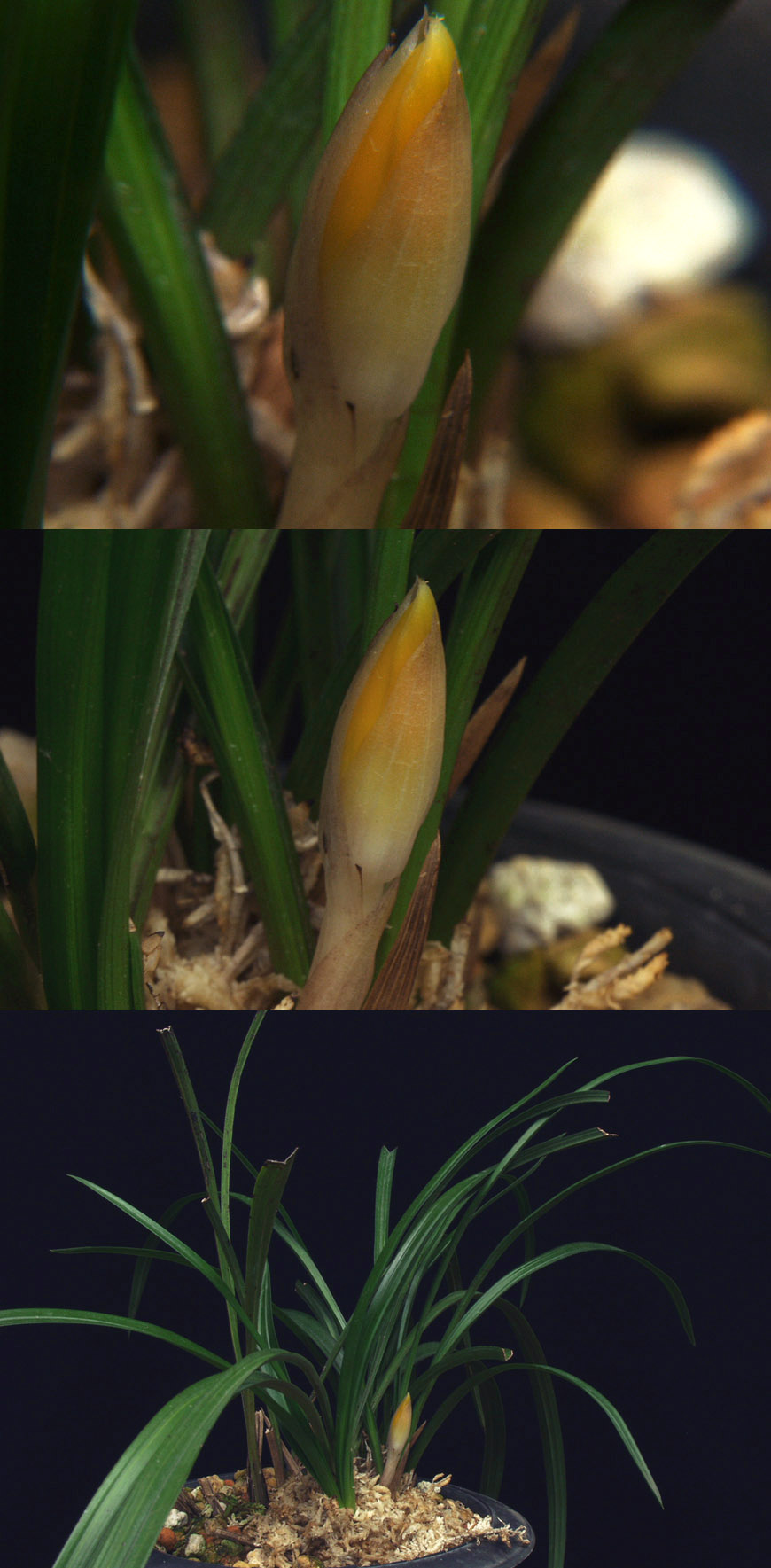 ������ ū������ �� �� �ֽ��ϴ�.