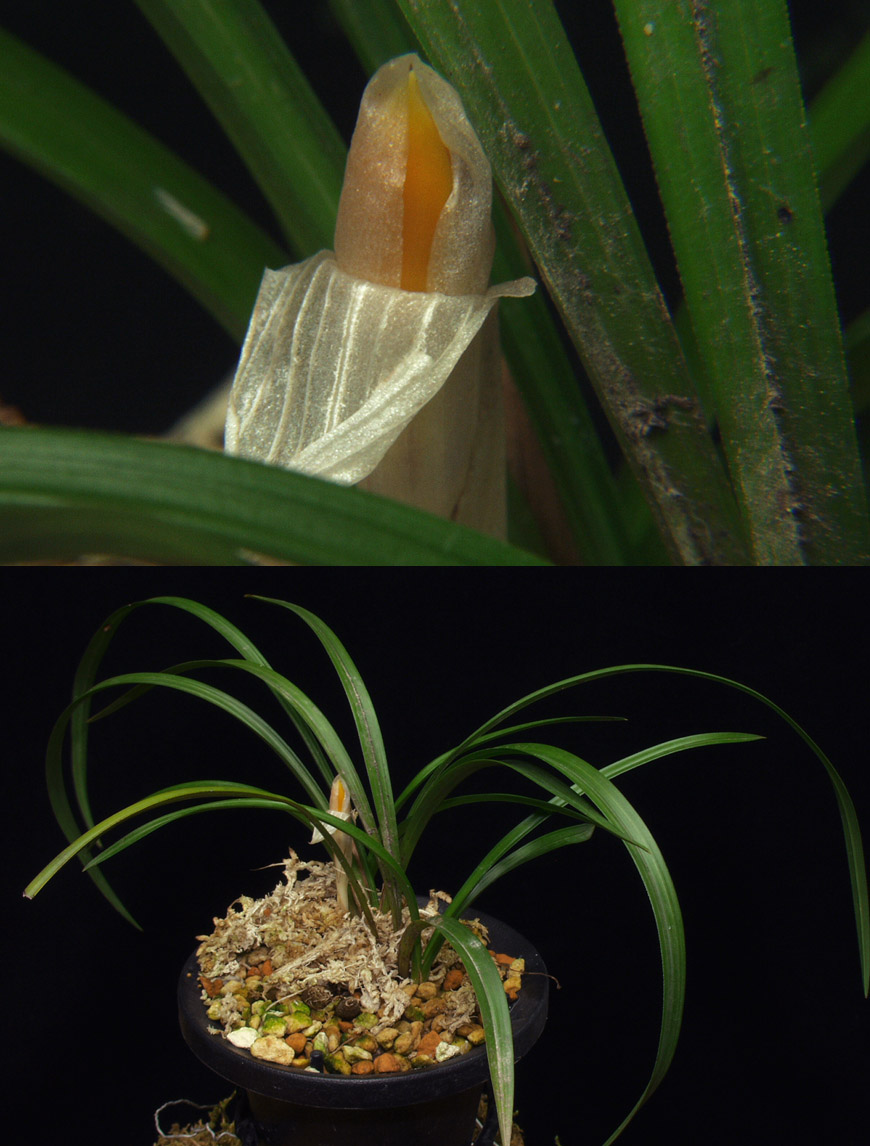 ������ ū������ �� �� �ֽ��ϴ�.