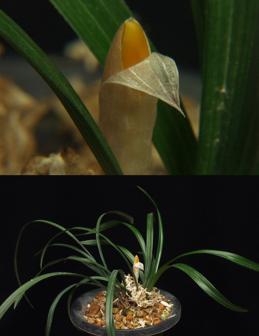 ������ ū������ �� �� �ֽ��ϴ�.