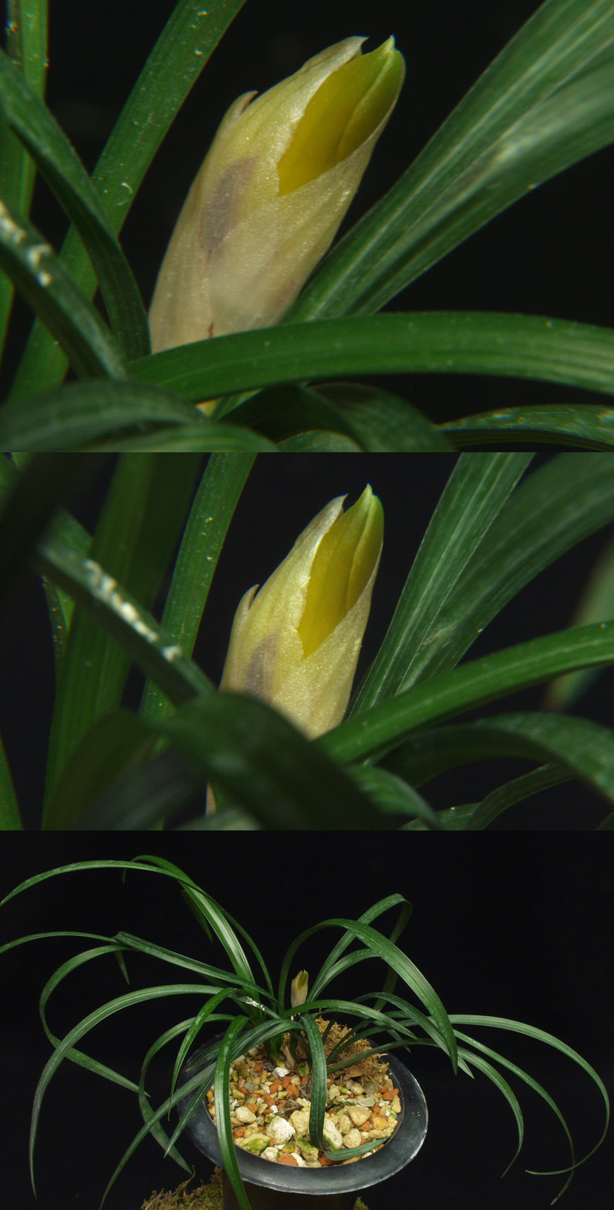 ������ ū������ �� �� �ֽ��ϴ�.