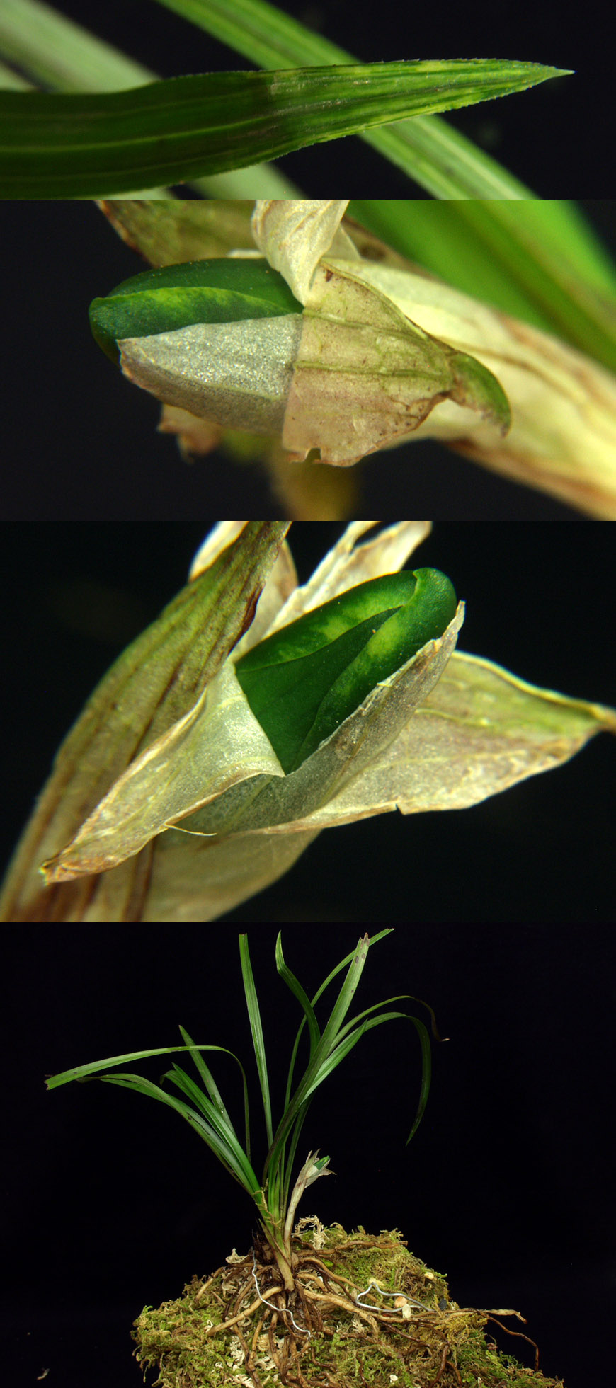 ������ ū������ �� �� �ֽ��ϴ�.