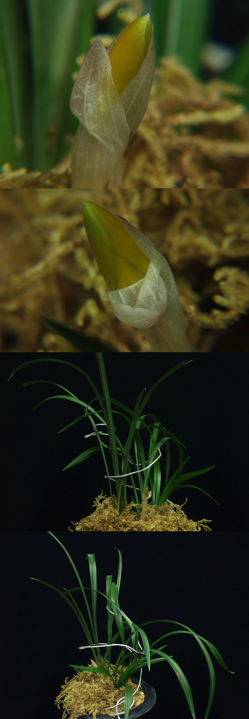 ������ ū������ �� �� �ֽ��ϴ�.