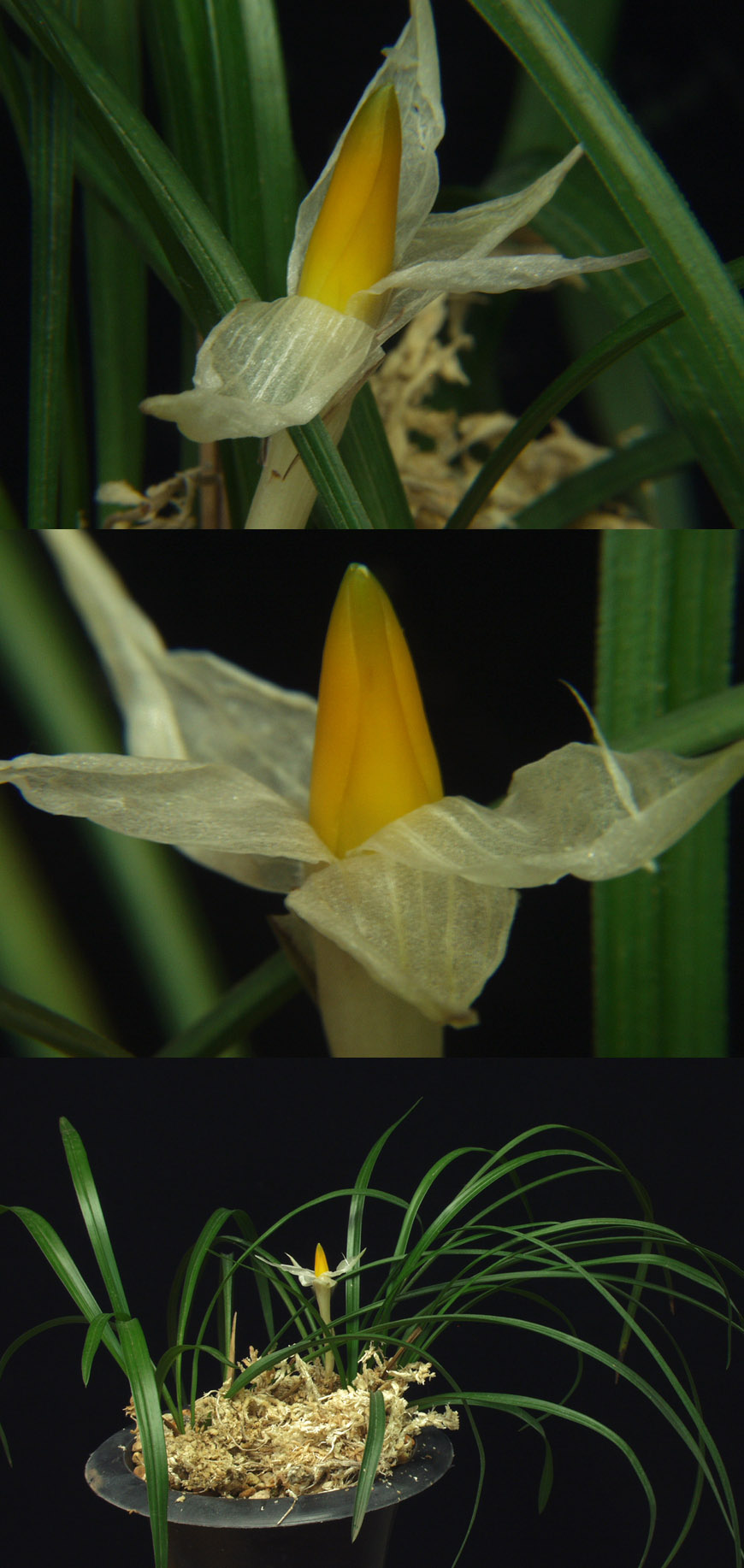 ������ ū������ �� �� �ֽ��ϴ�.