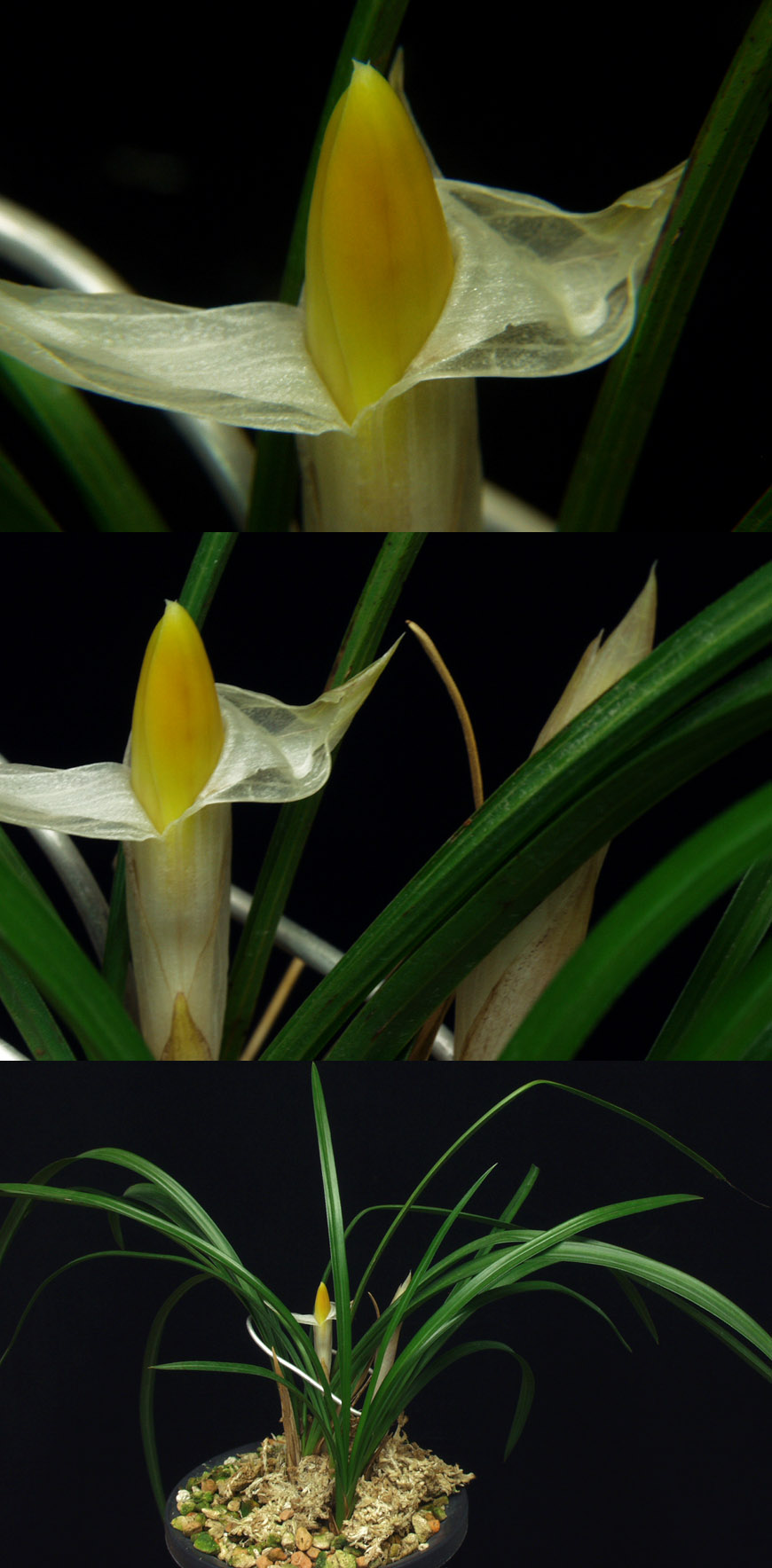 ������ ū������ �� �� �ֽ��ϴ�.