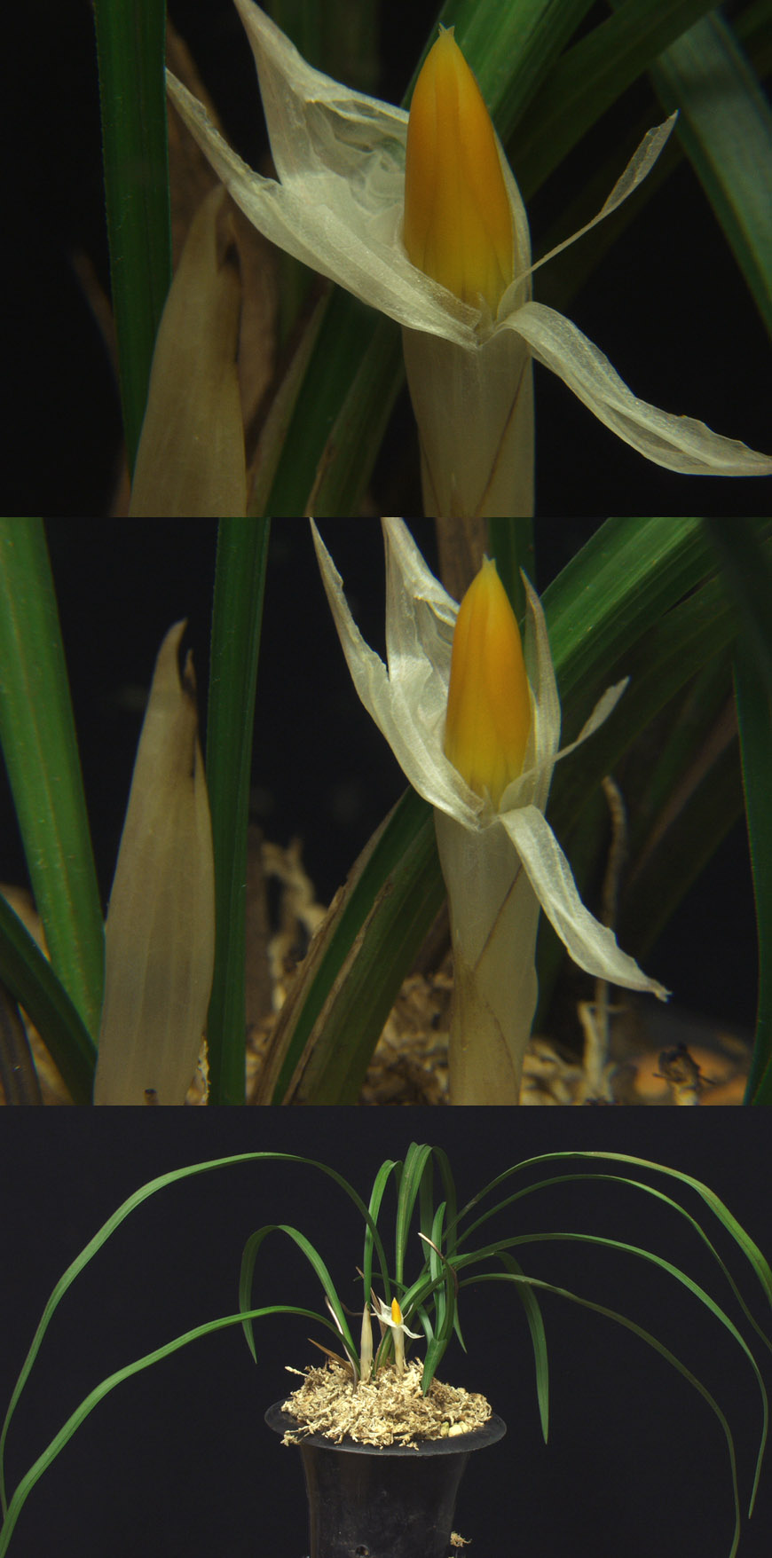 ������ ū������ �� �� �ֽ��ϴ�.