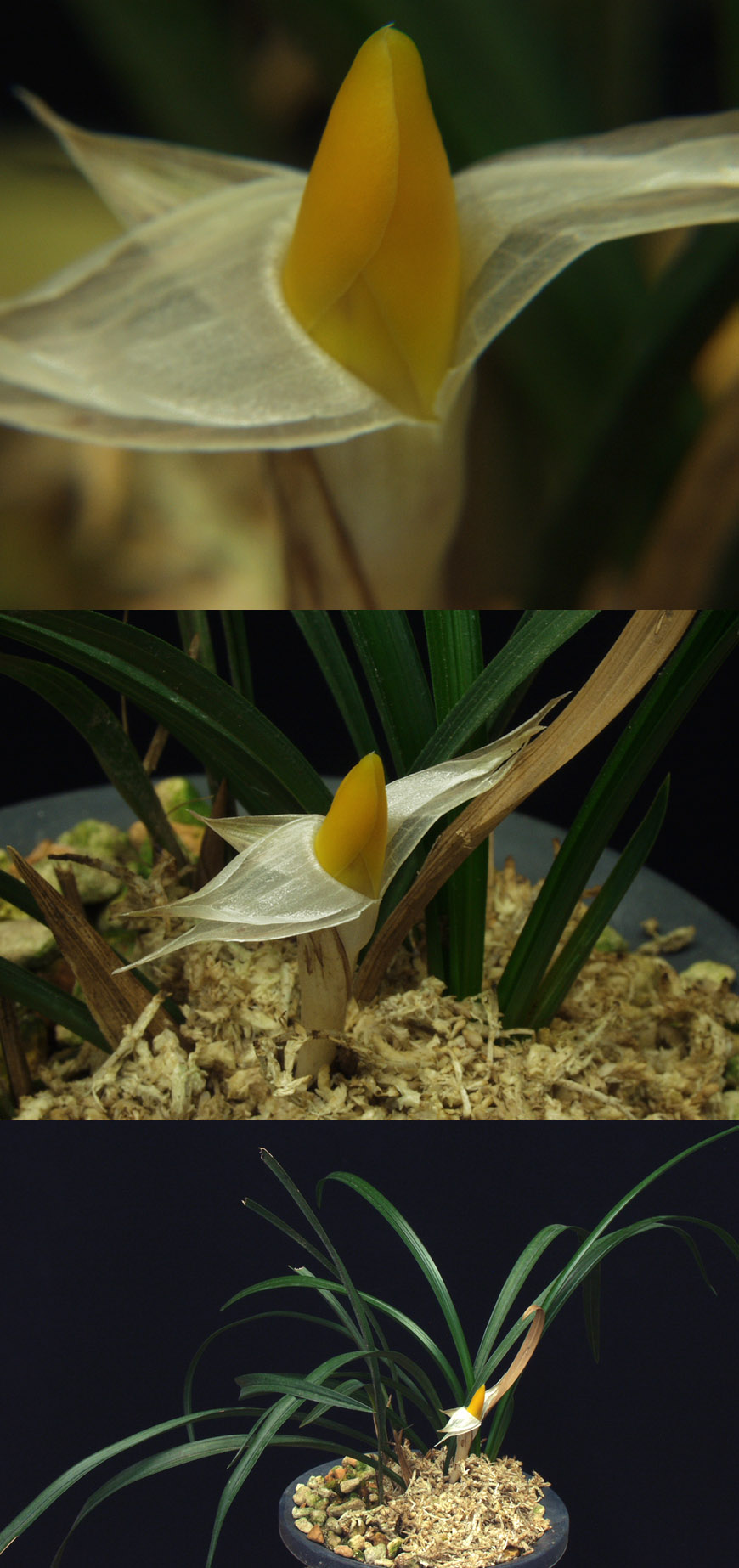 ������ ū������ �� �� �ֽ��ϴ�.