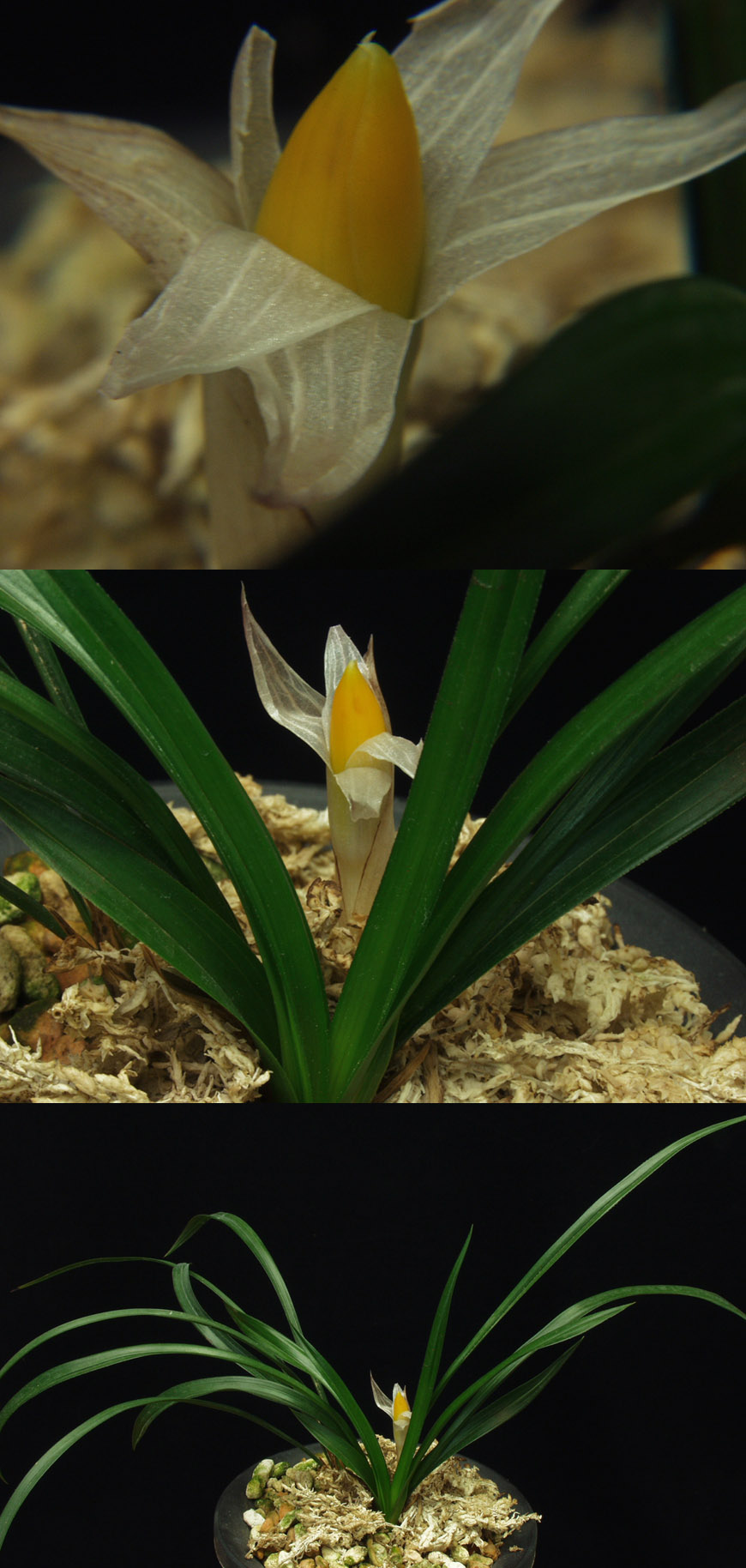 ������ ū������ �� �� �ֽ��ϴ�.