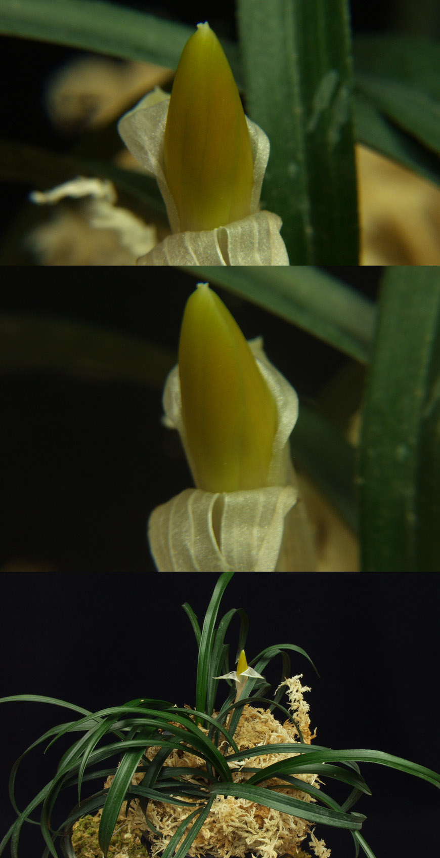 ������ ū������ �� �� �ֽ��ϴ�.