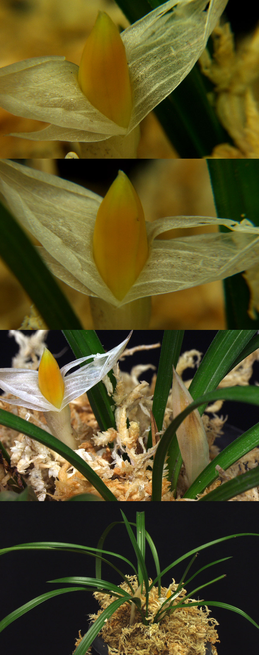 ������ ū������ �� �� �ֽ��ϴ�.