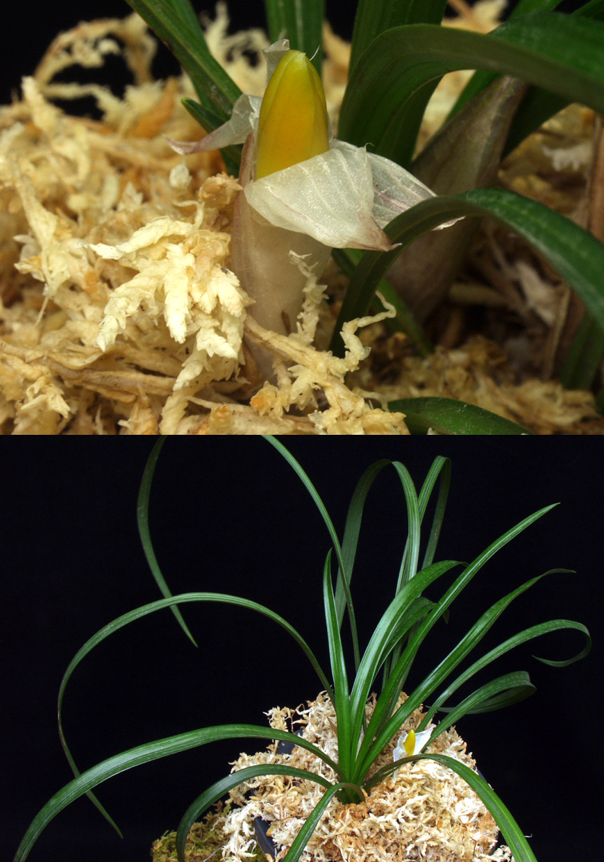 ������ ū������ �� �� �ֽ��ϴ�.