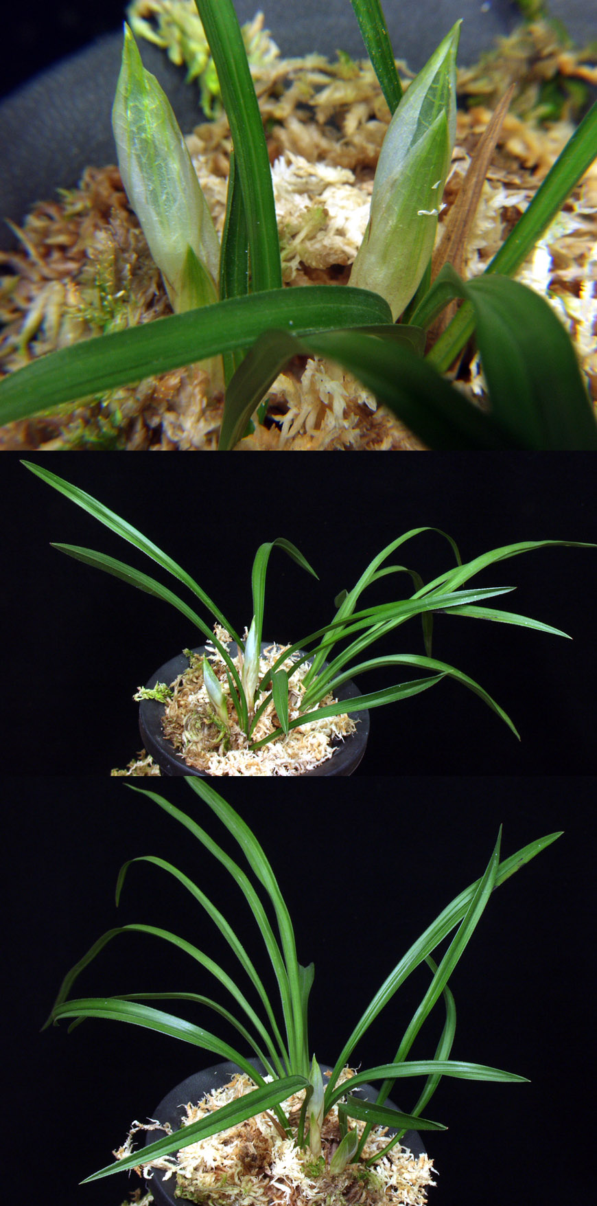 ������ ū������ �� �� �ֽ��ϴ�.