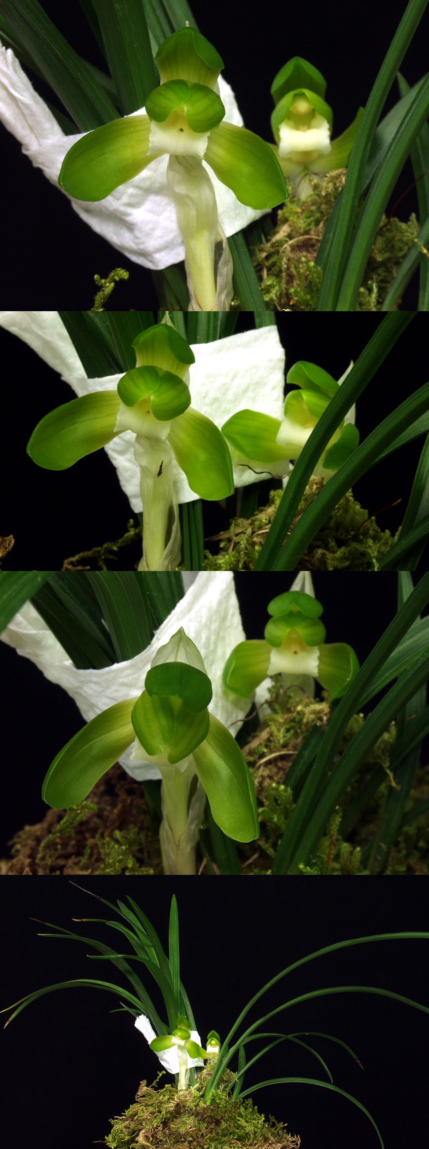 ������ ū������ �� �� �ֽ��ϴ�.