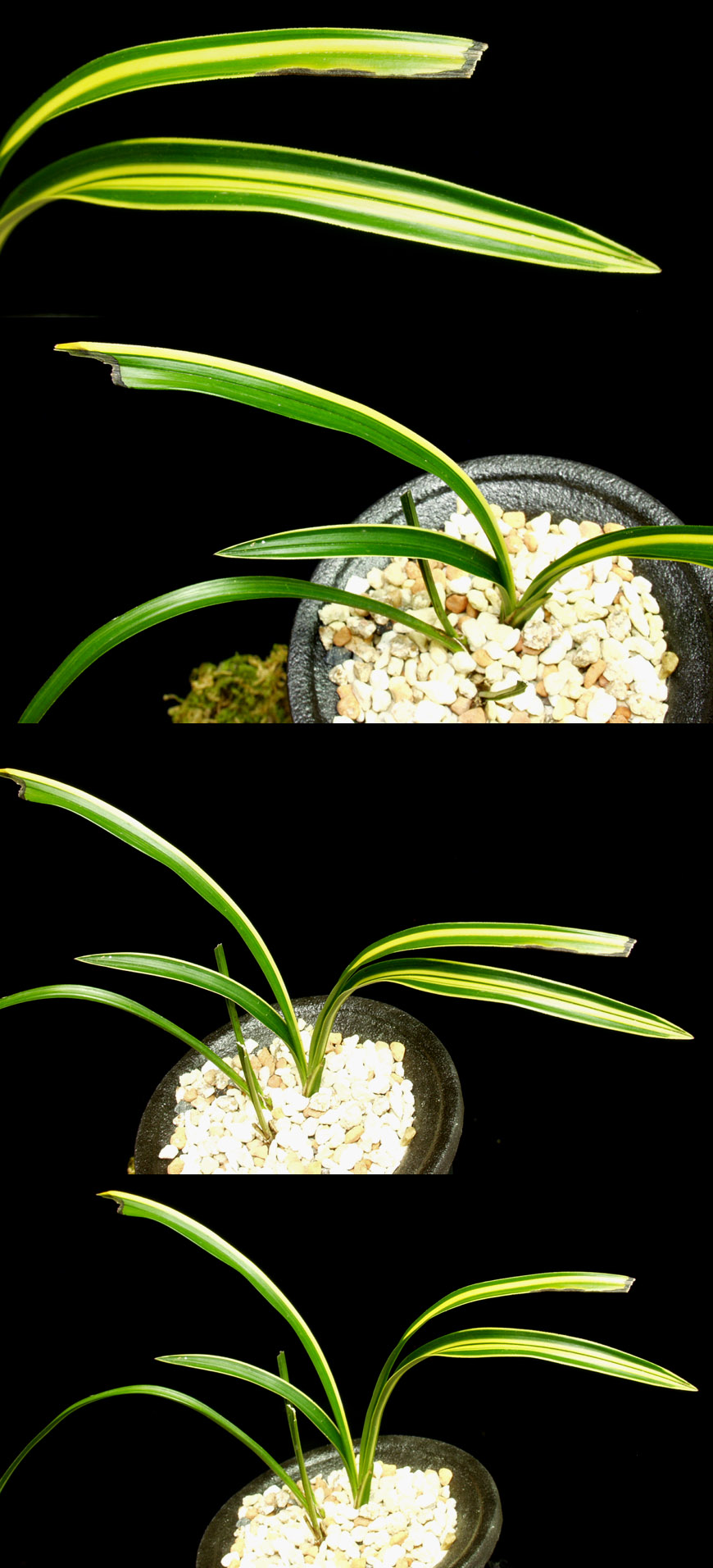 ������ ū������ �� �� �ֽ��ϴ�.