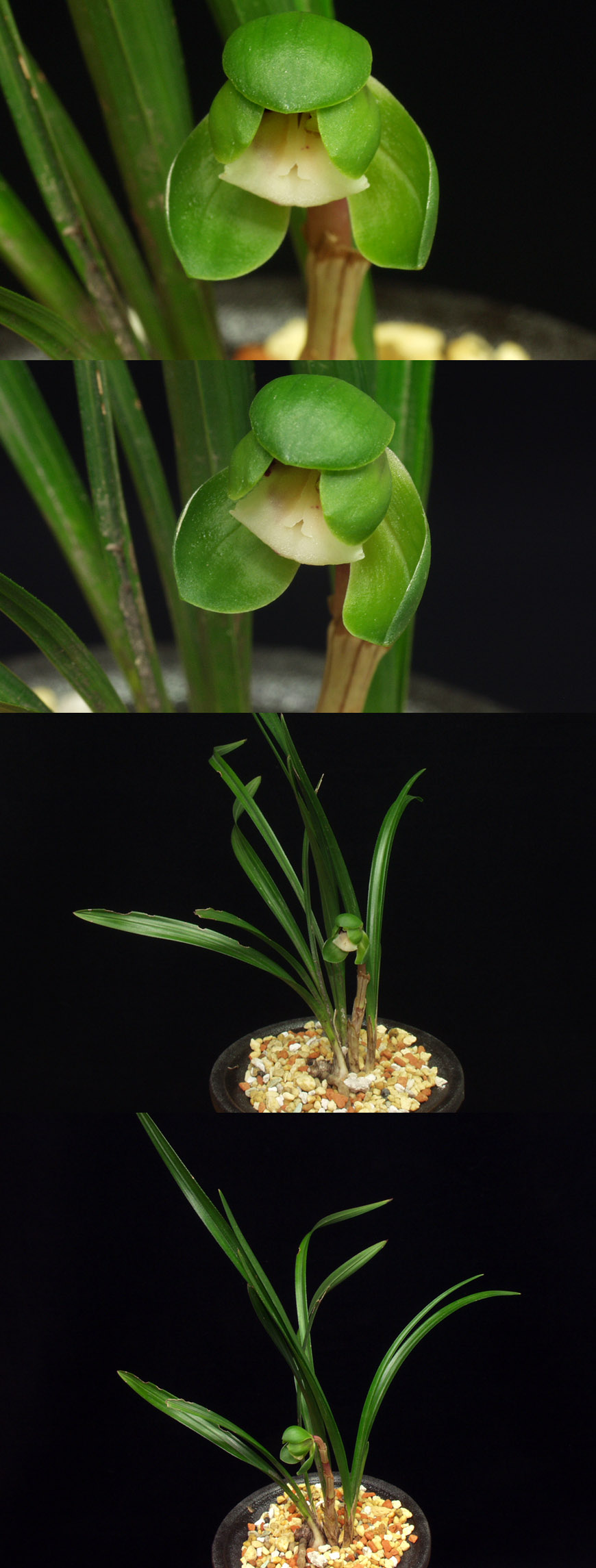 ������ ū������ �� �� �ֽ��ϴ�.