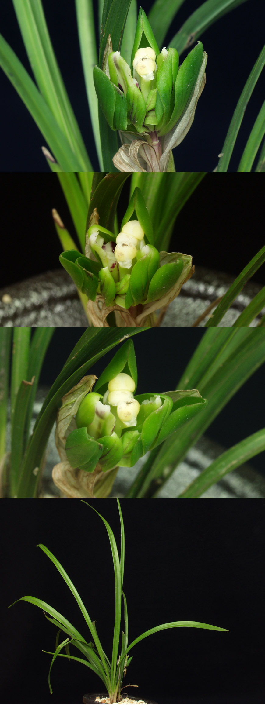 ������ ū������ �� �� �ֽ��ϴ�.