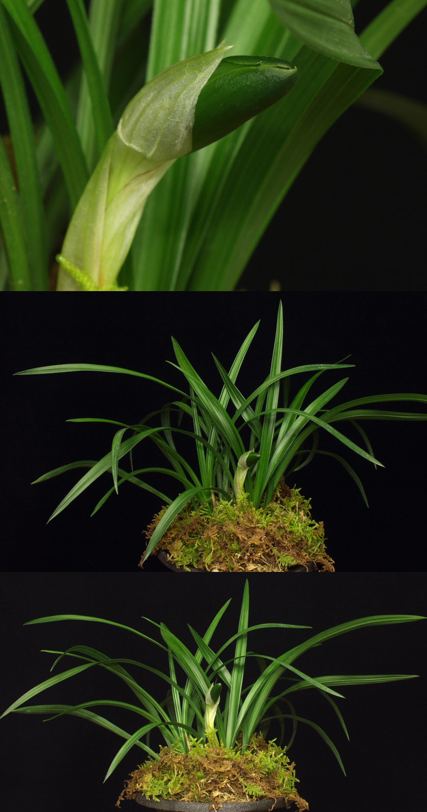 ������ ū������ �� �� �ֽ��ϴ�.