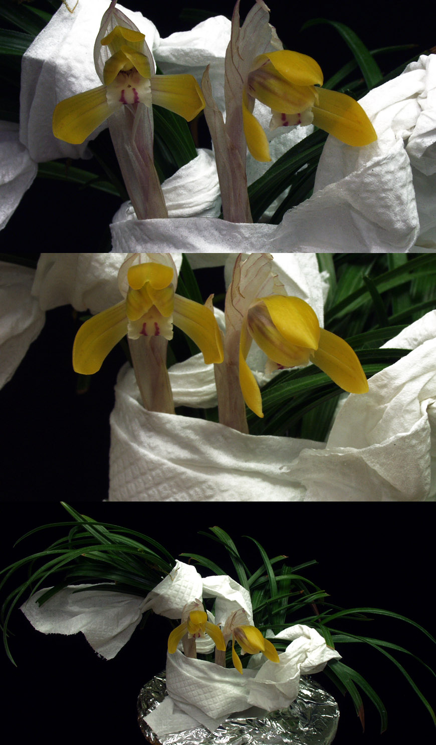 ������ ū������ �� �� �ֽ��ϴ�.