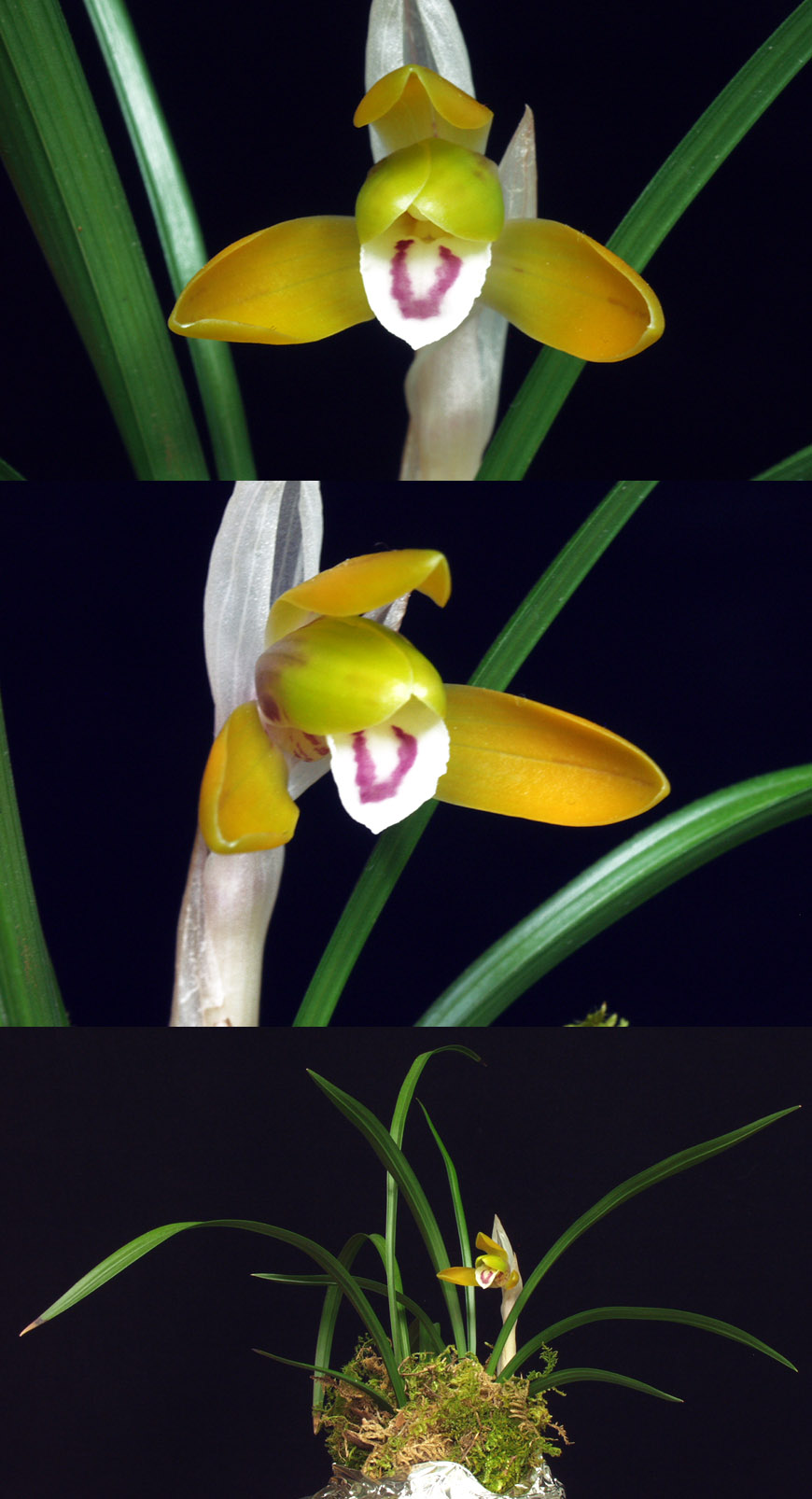 ������ ū������ �� �� �ֽ��ϴ�.