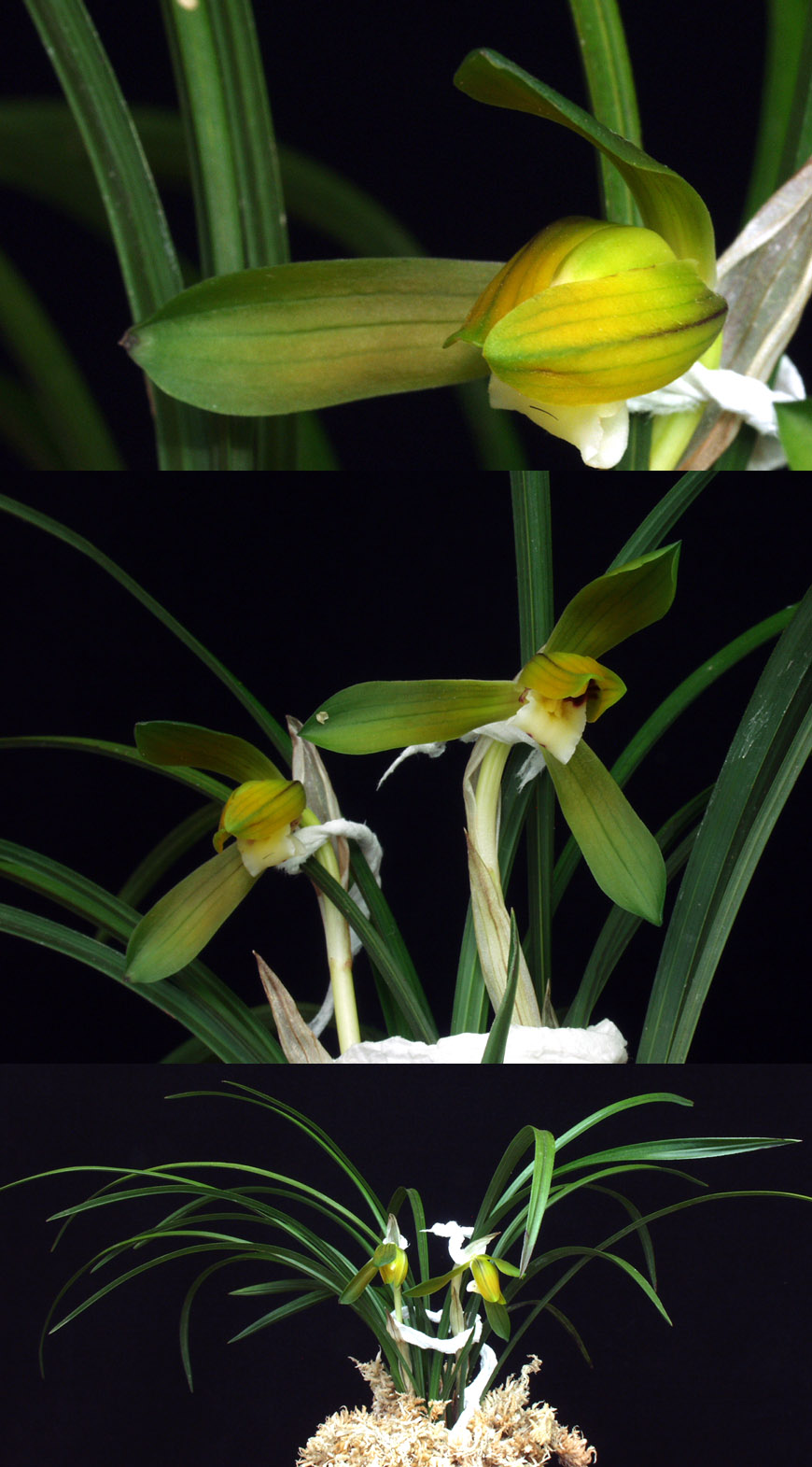 ������ ū������ �� �� �ֽ��ϴ�.