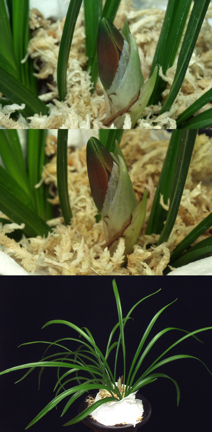 ������ ū������ �� �� �ֽ��ϴ�.