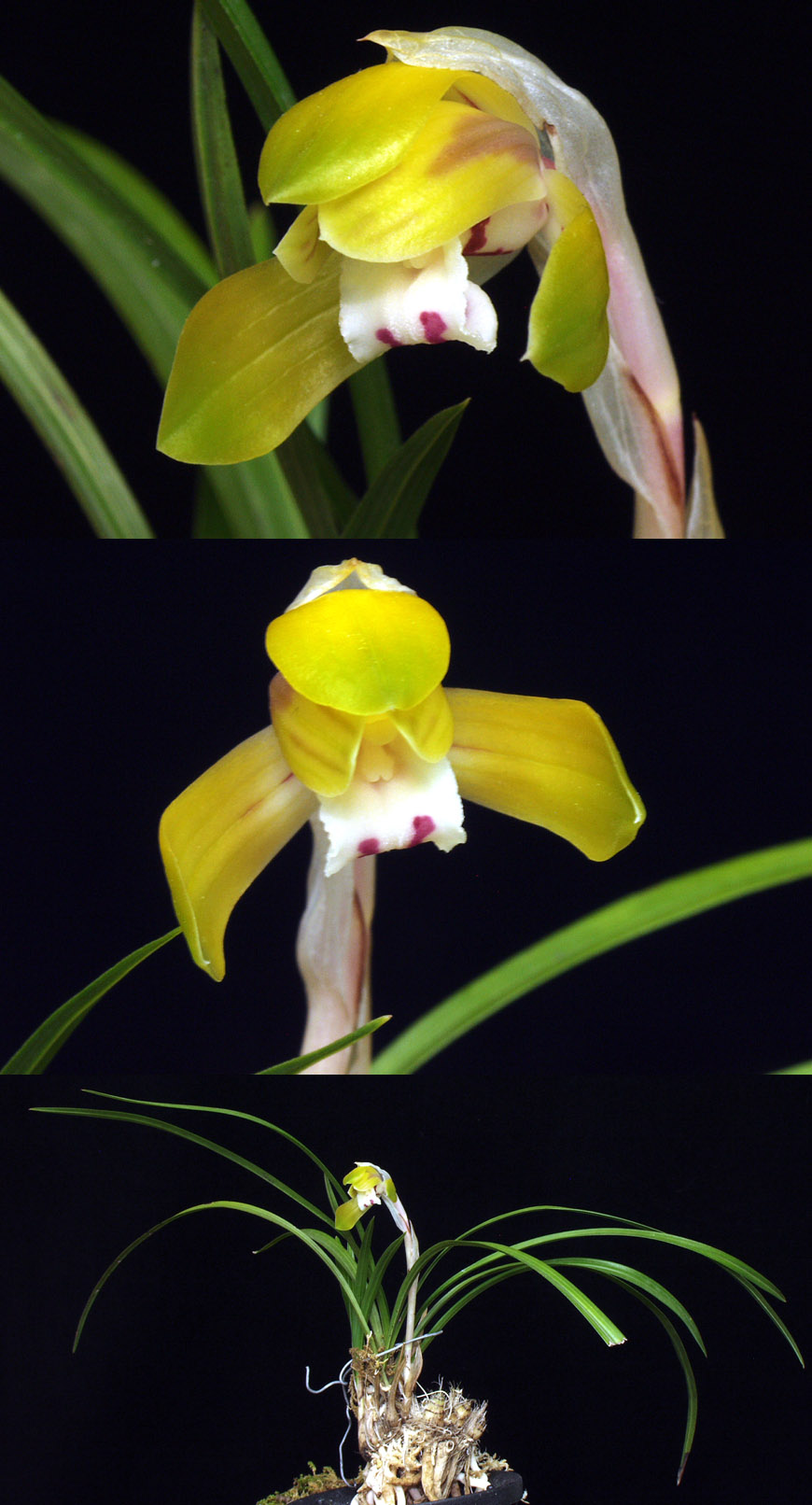 ������ ū������ �� �� �ֽ��ϴ�.