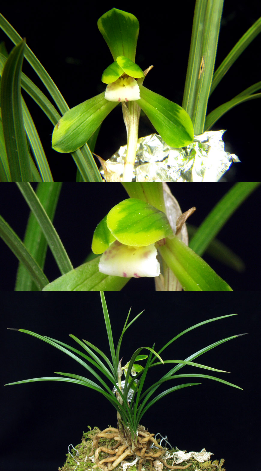 ������ ū������ �� �� �ֽ��ϴ�.