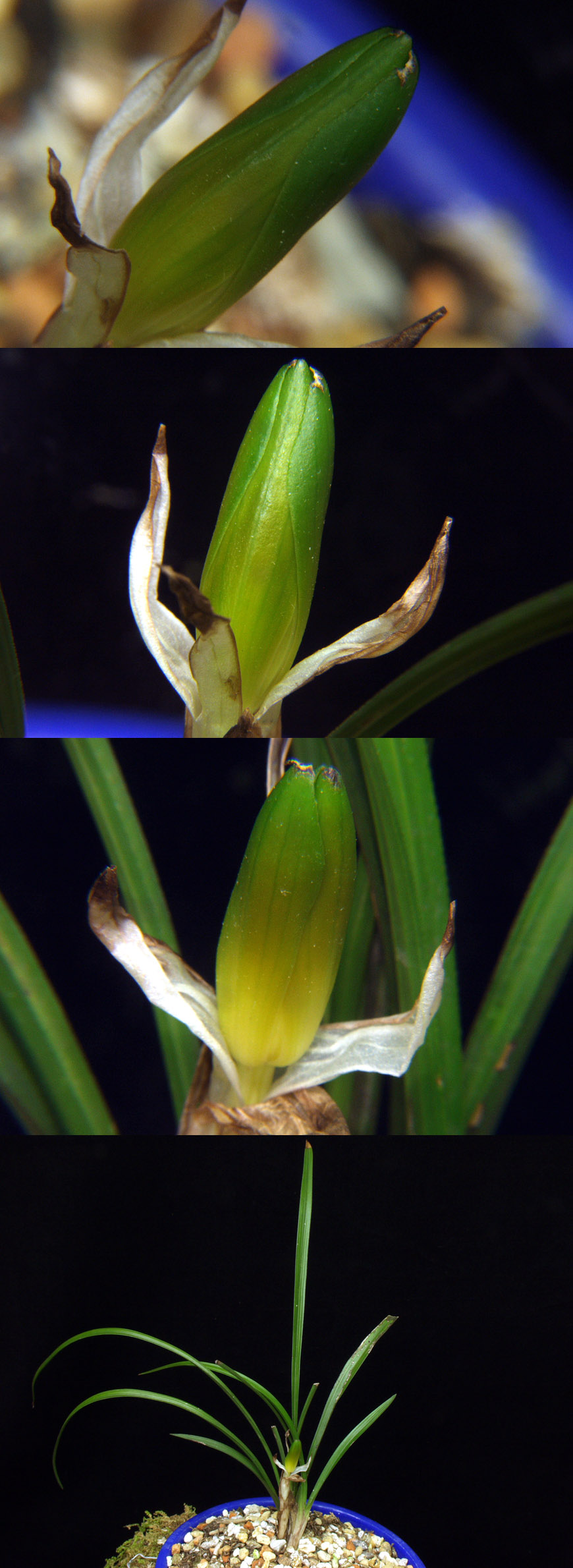 ������ ū������ �� �� �ֽ��ϴ�.