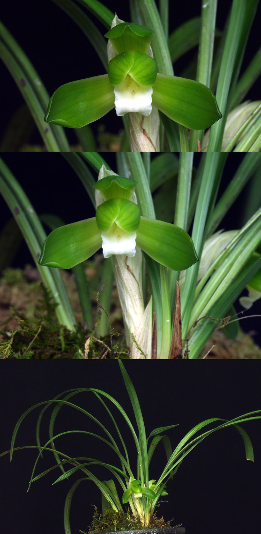 ������ ū������ �� �� �ֽ��ϴ�.