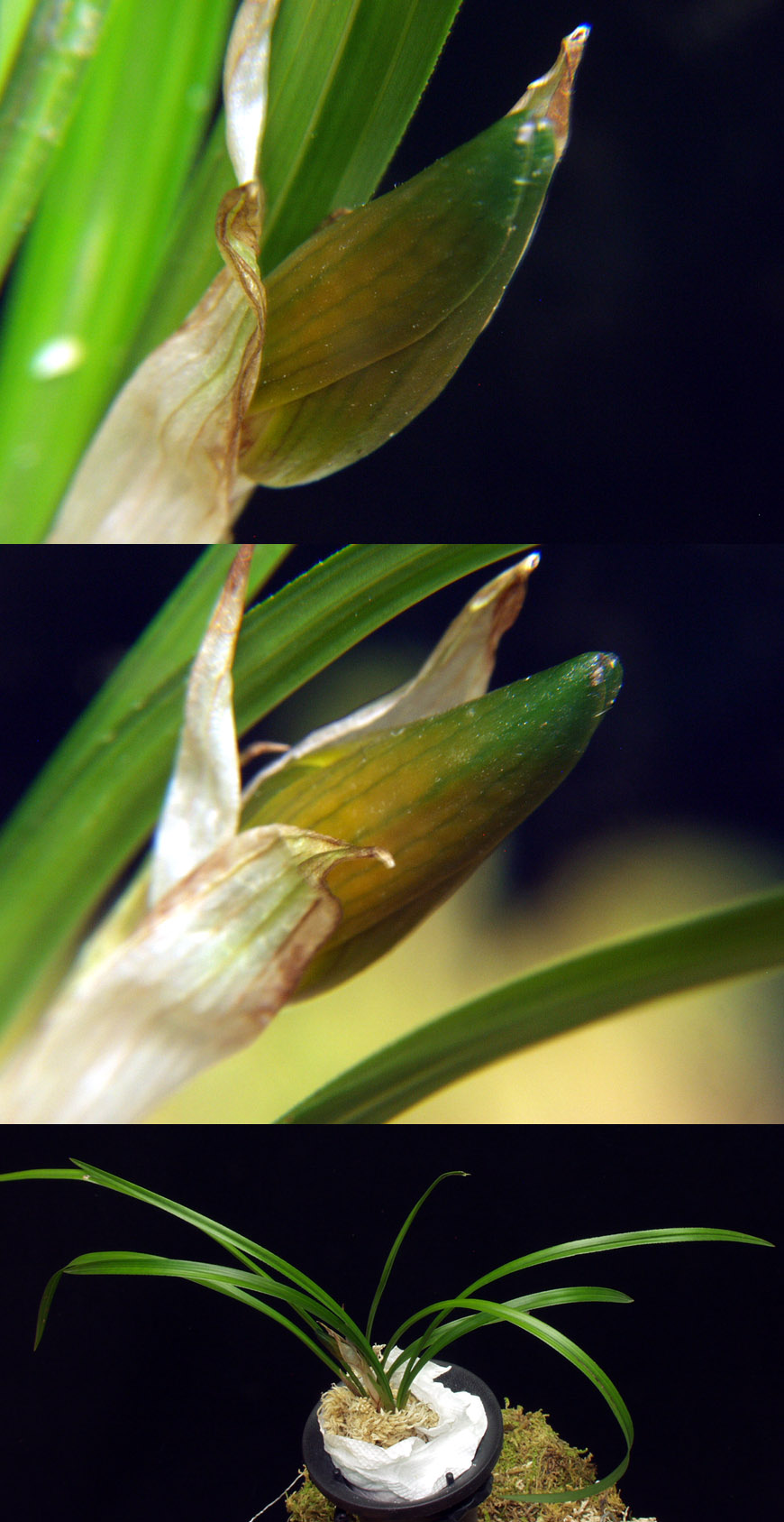 ������ ū������ �� �� �ֽ��ϴ�.