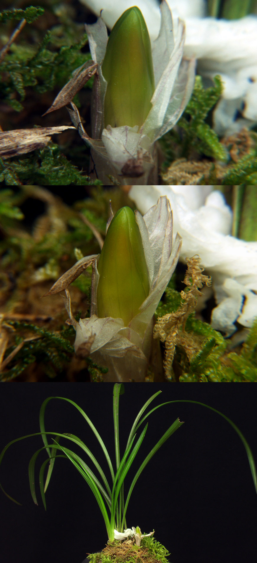 ������ ū������ �� �� �ֽ��ϴ�.