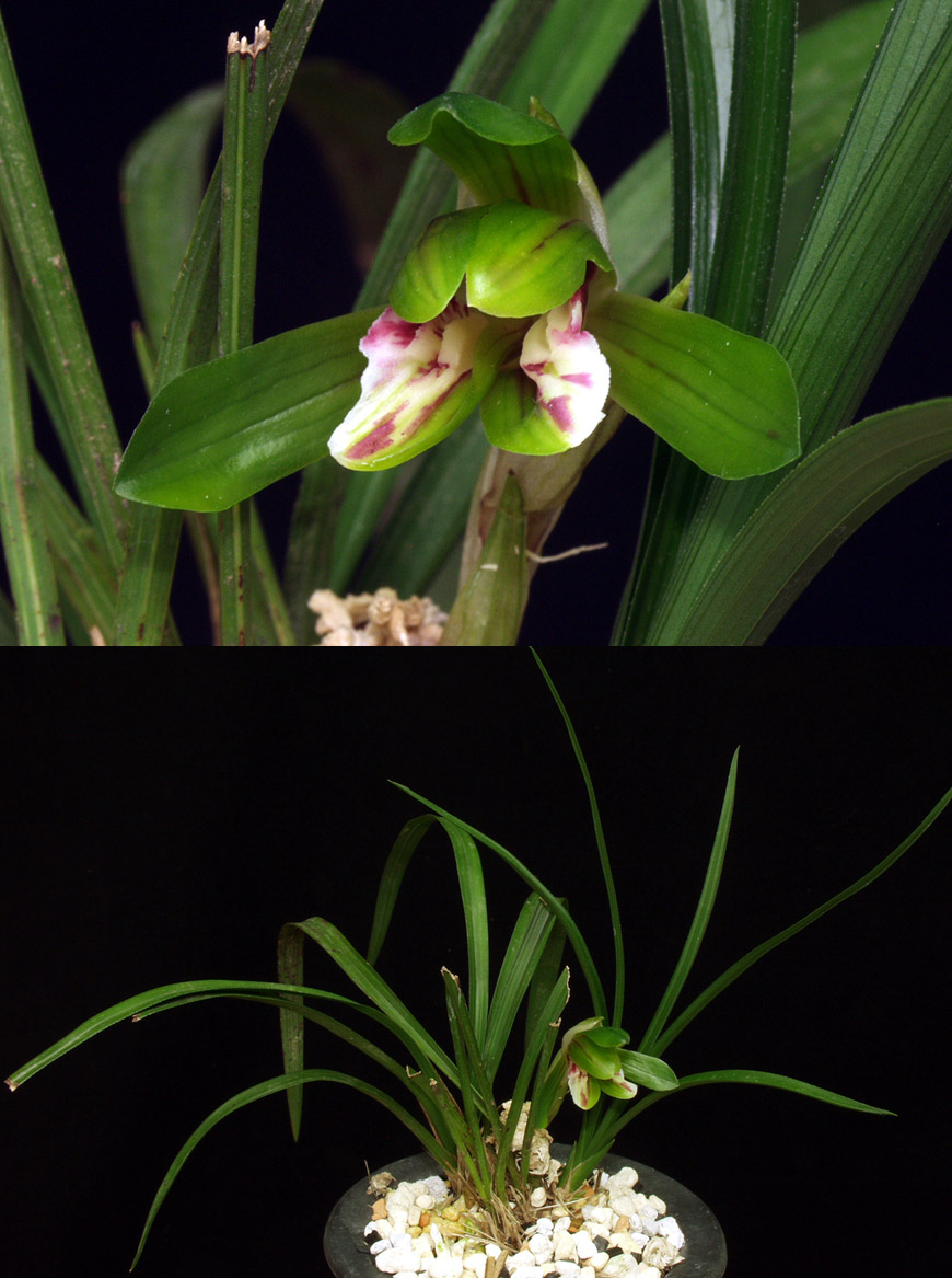 ������ ū������ �� �� �ֽ��ϴ�.