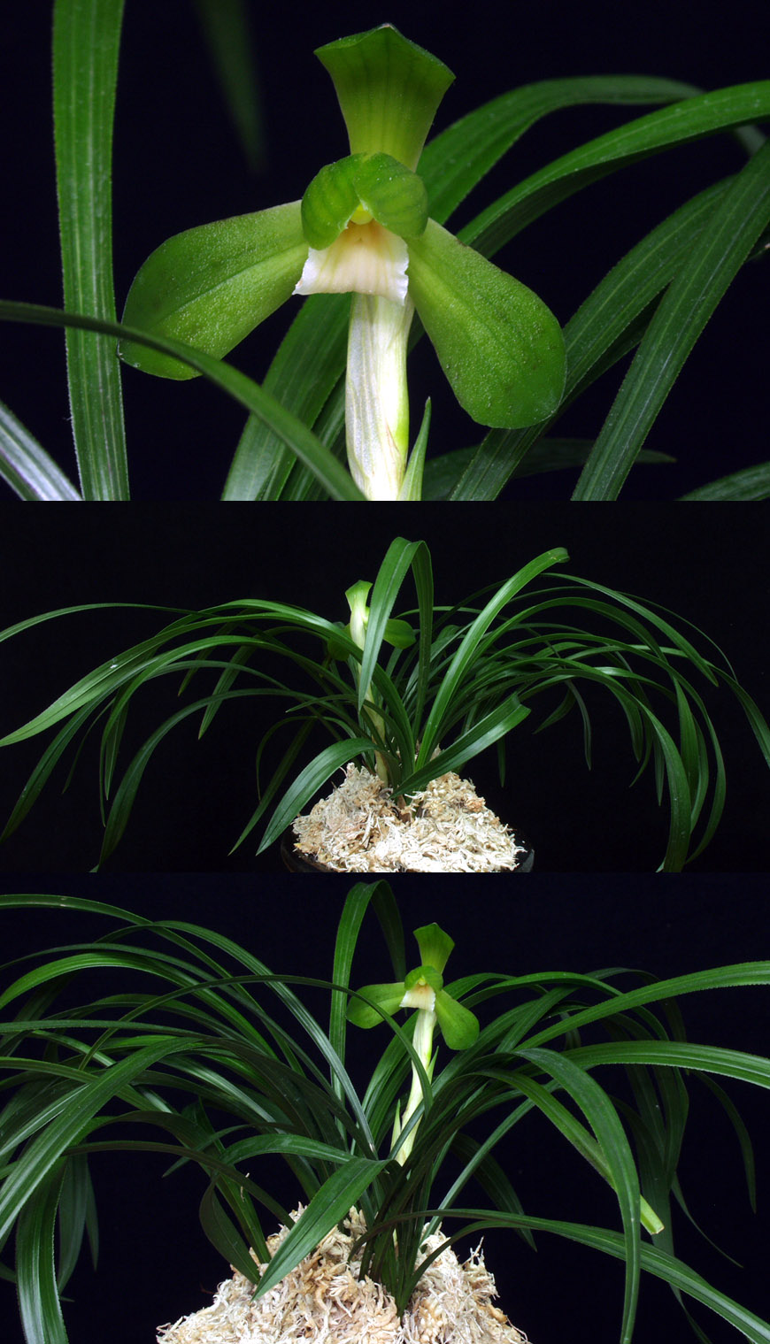 ������ ū������ �� �� �ֽ��ϴ�.