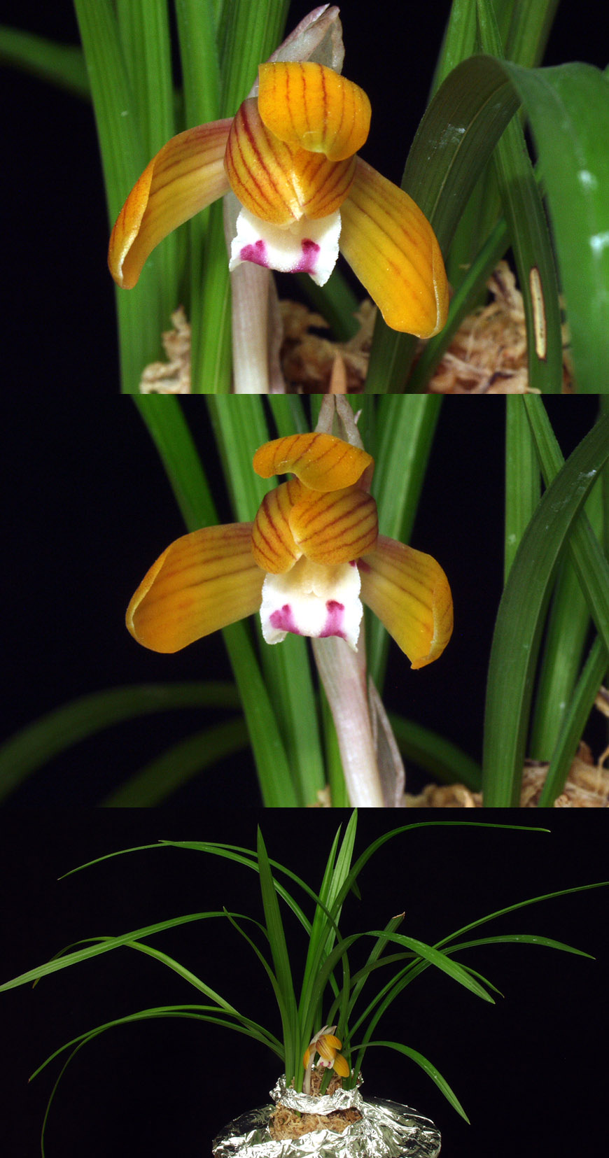 ������ ū������ �� �� �ֽ��ϴ�.