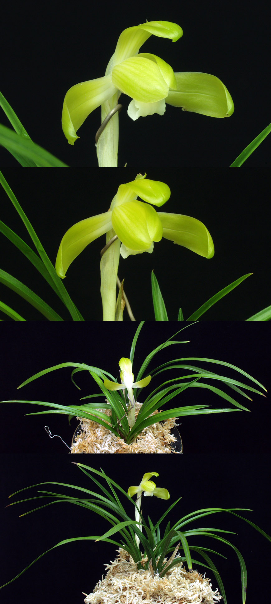 ������ ū������ �� �� �ֽ��ϴ�.