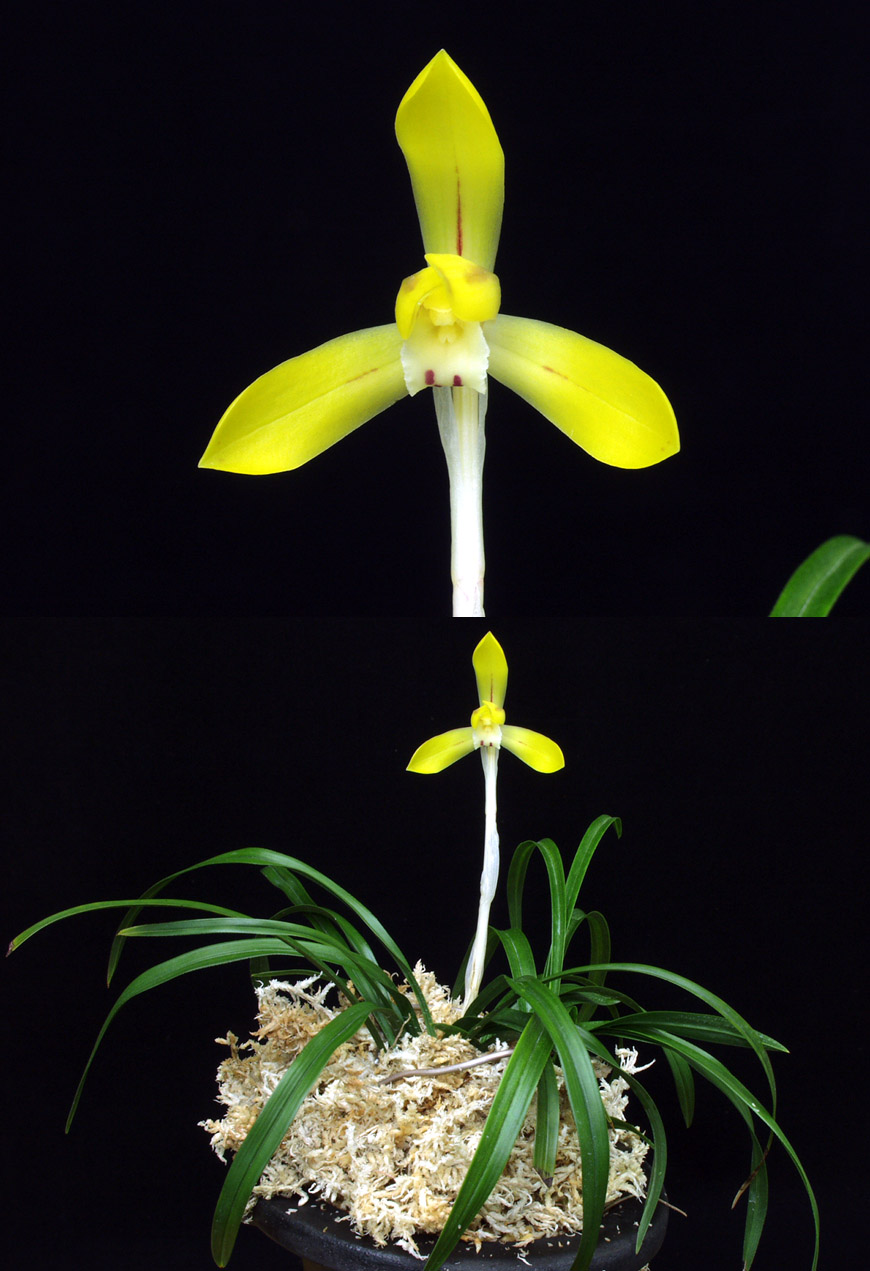 ������ ū������ �� �� �ֽ��ϴ�.