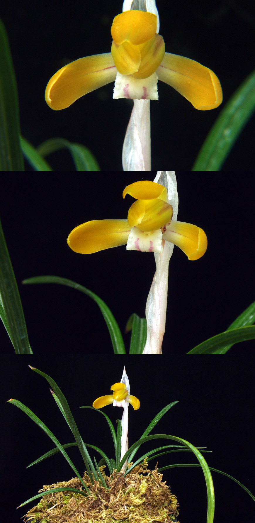 ������ ū������ �� �� �ֽ��ϴ�.