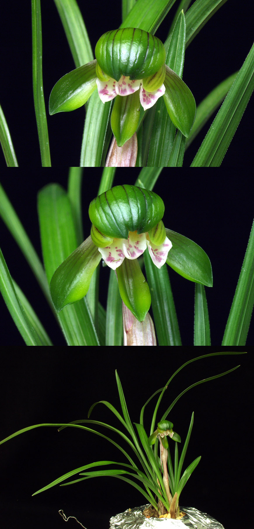 ������ ū������ �� �� �ֽ��ϴ�.