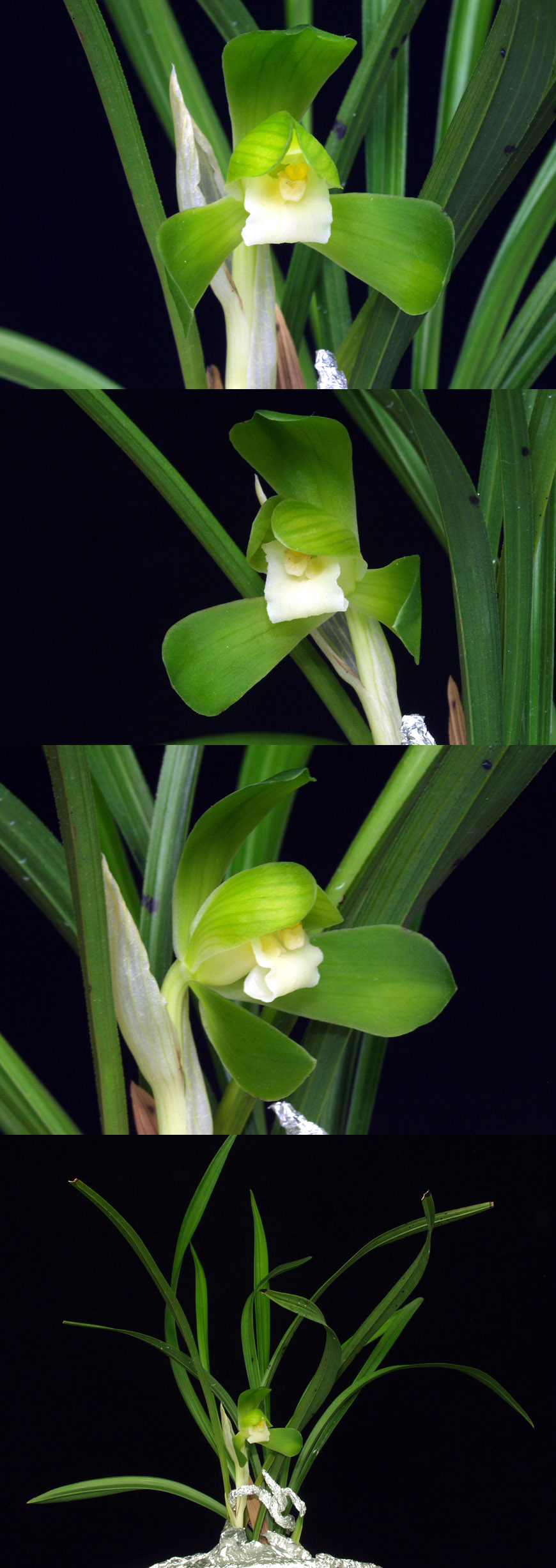 ������ ū������ �� �� �ֽ��ϴ�.