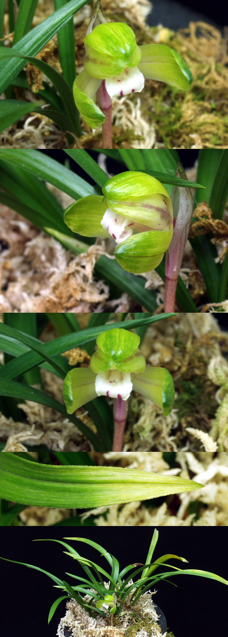 ������ ū������ �� �� �ֽ��ϴ�.