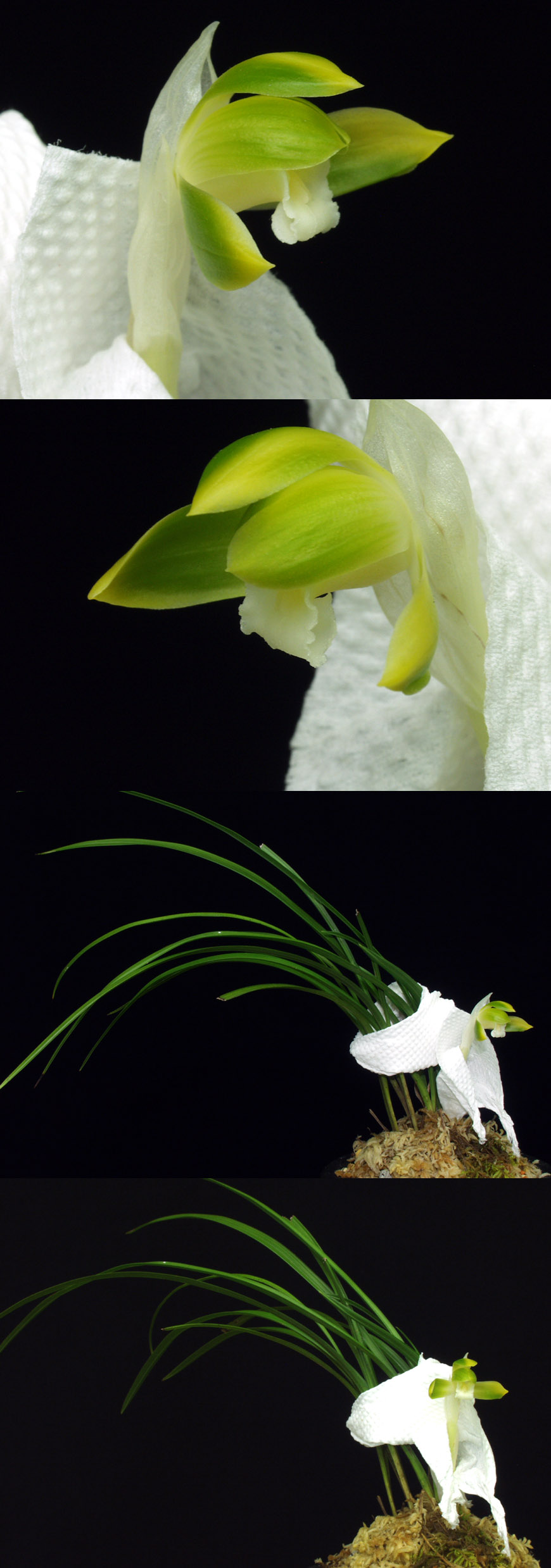 ������ ū������ �� �� �ֽ��ϴ�.