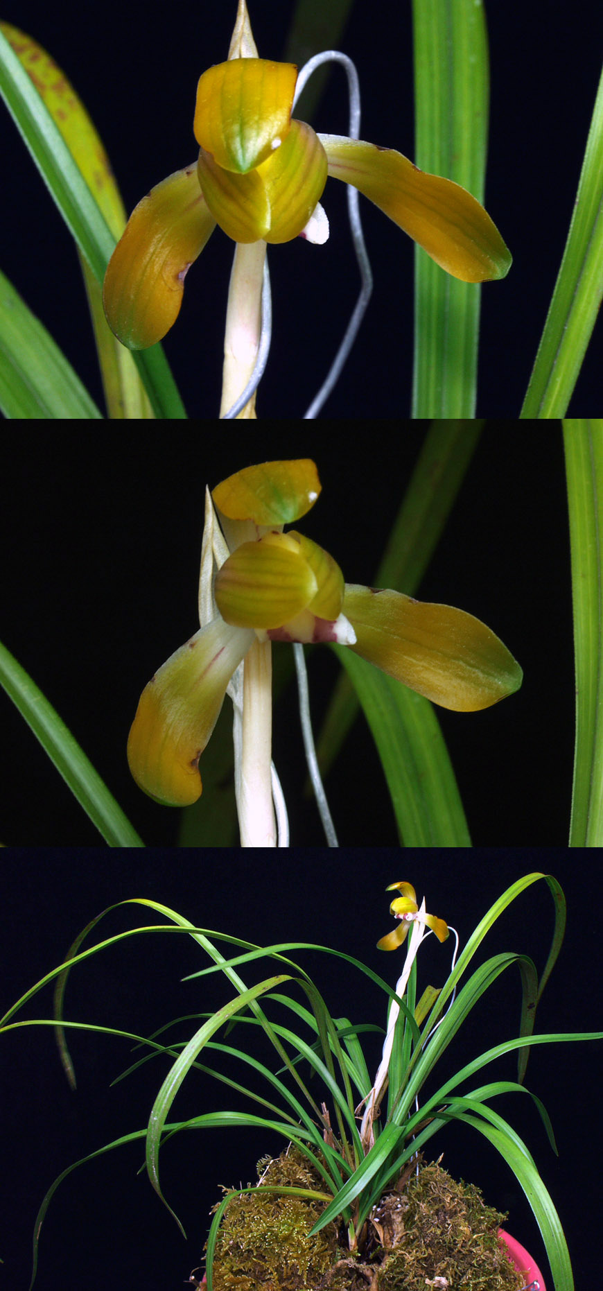 ������ ū������ �� �� �ֽ��ϴ�.