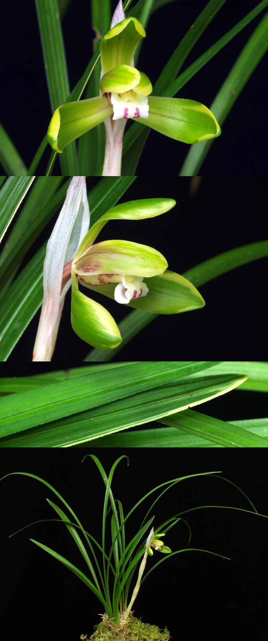 ������ ū������ �� �� �ֽ��ϴ�.