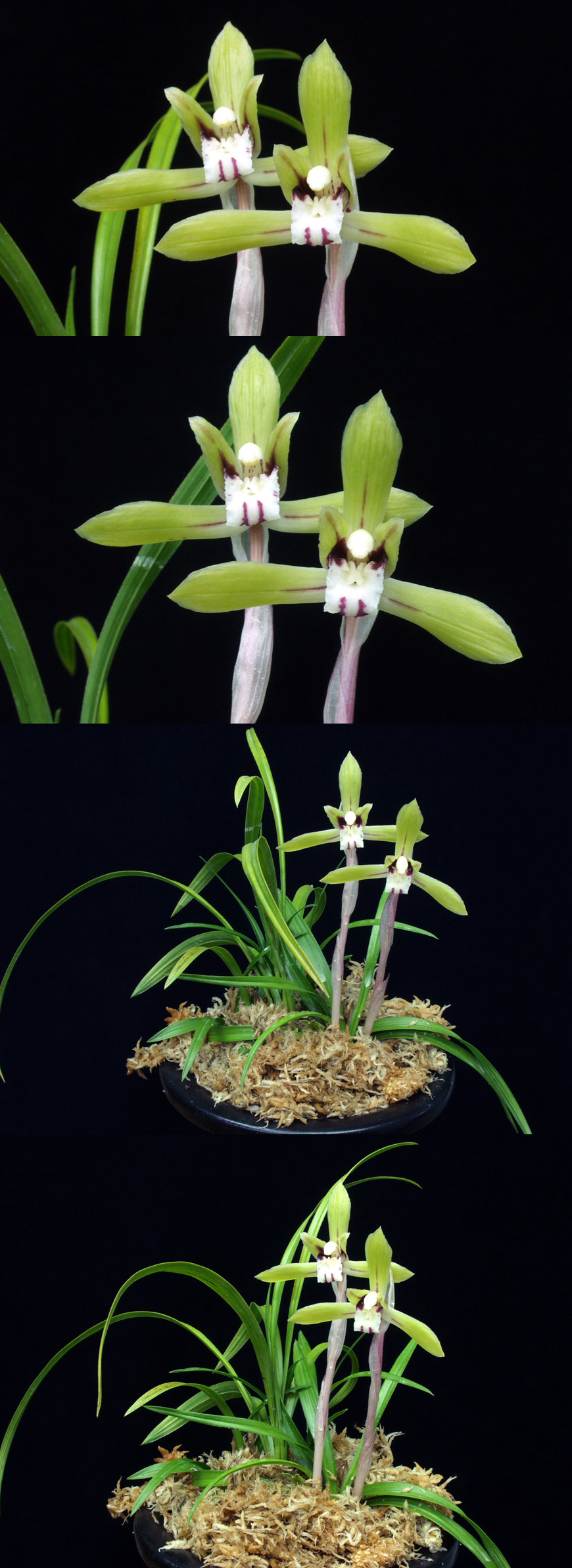 ������ ū������ �� �� �ֽ��ϴ�.