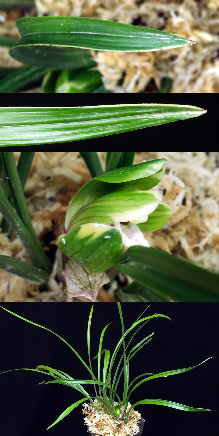 ������ ū������ �� �� �ֽ��ϴ�.