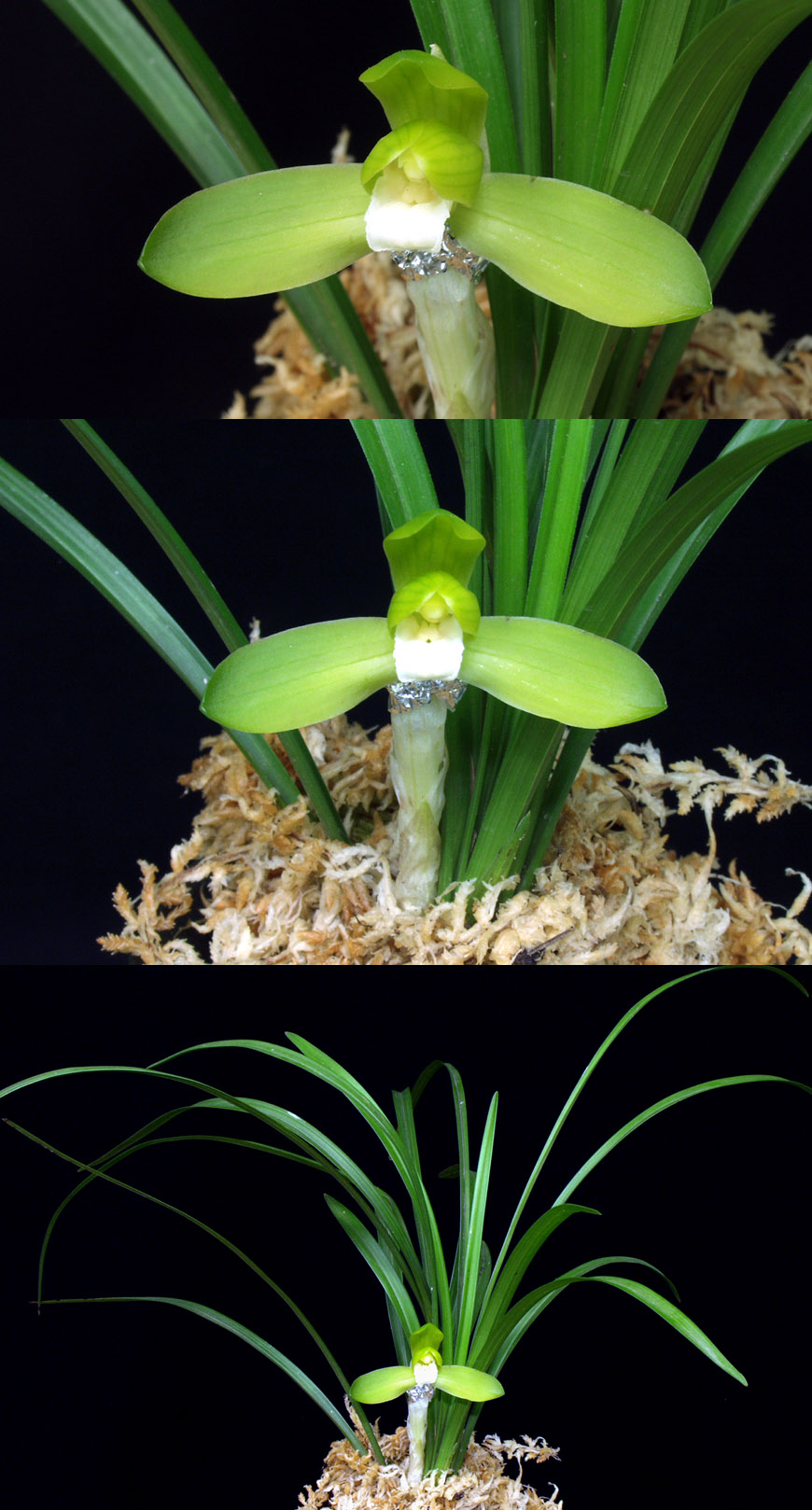 ������ ū������ �� �� �ֽ��ϴ�.