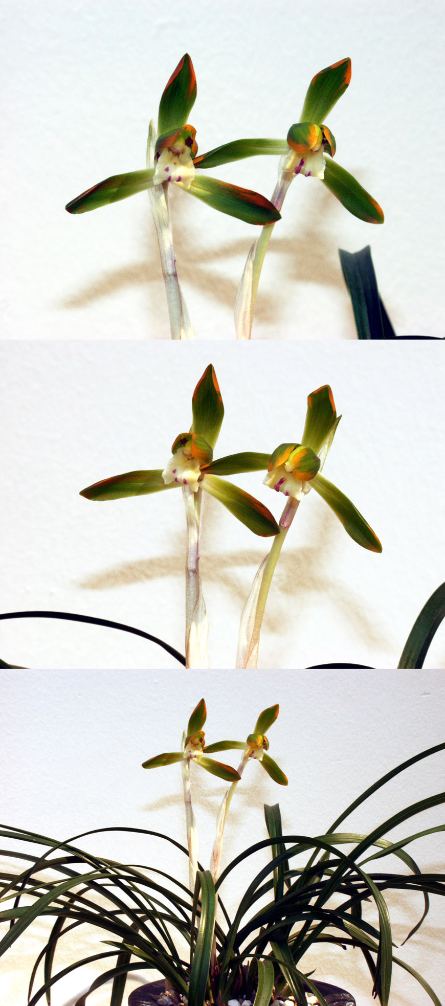 ������ ū������ �� �� �ֽ��ϴ�.