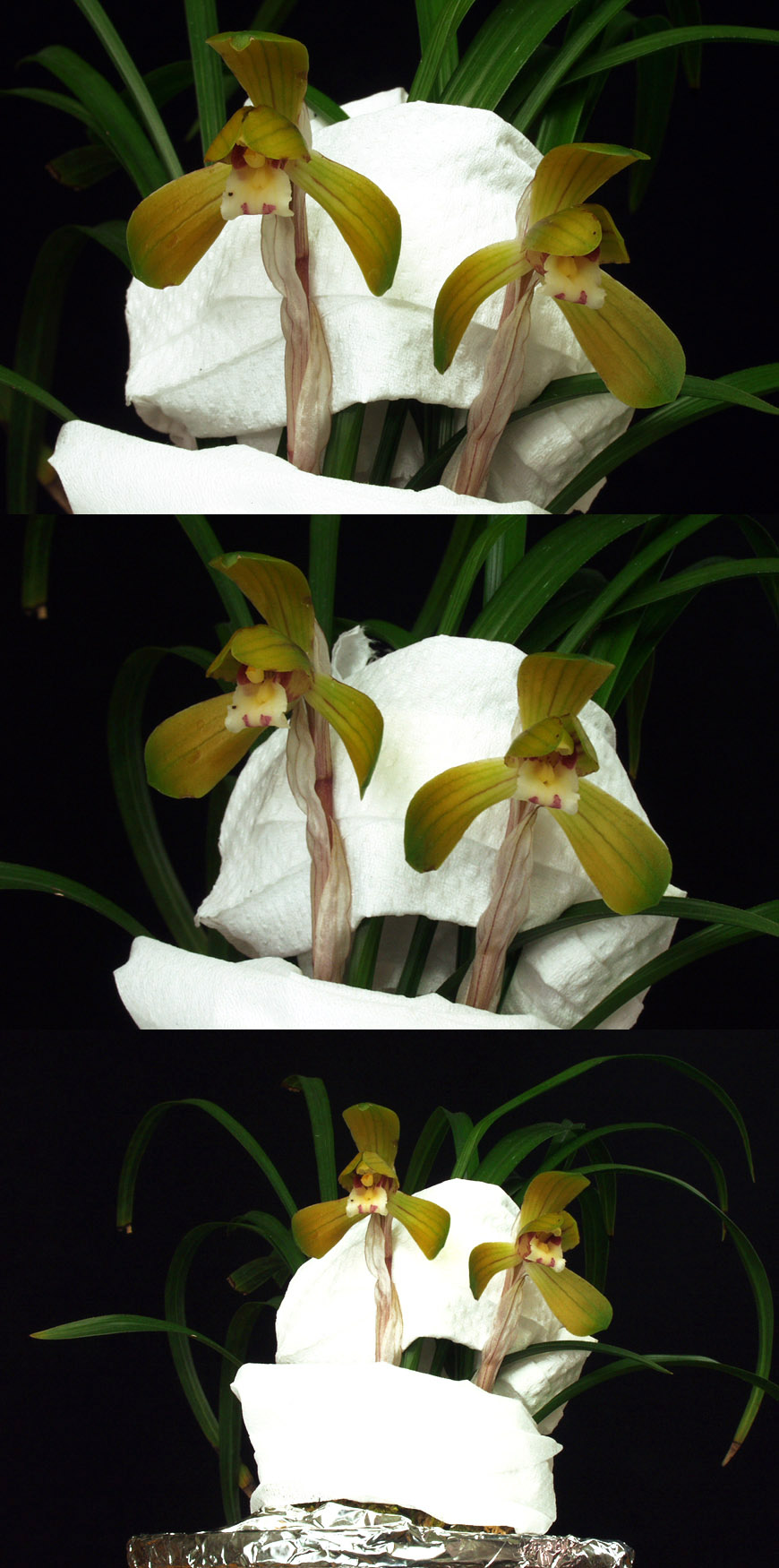 ������ ū������ �� �� �ֽ��ϴ�.