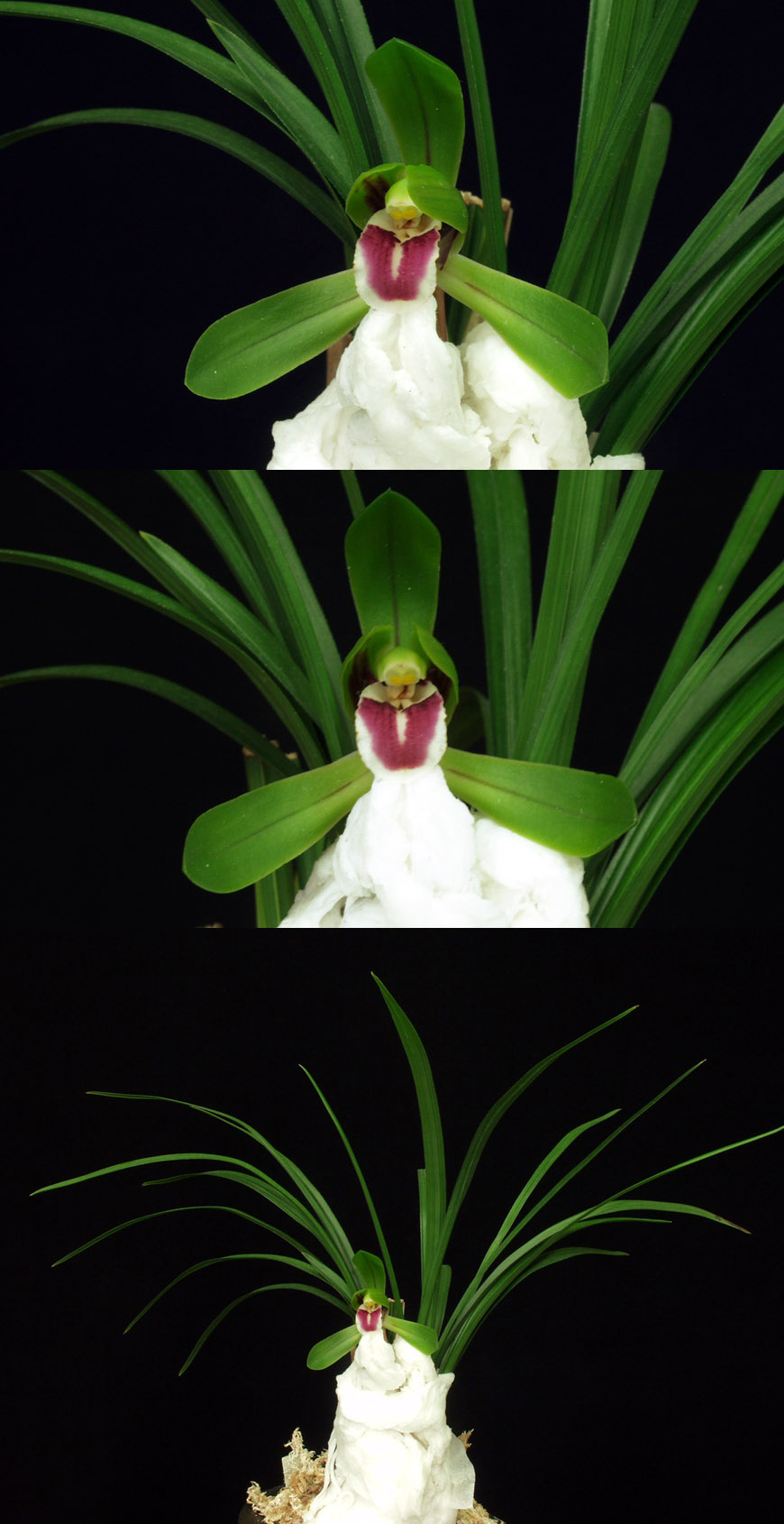 ������ ū������ �� �� �ֽ��ϴ�.